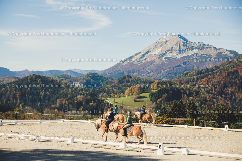 Otscher  (36) | Fotos und Fotoprodukte - Realisiert mit Pictrs.com