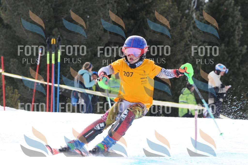 C7553 | holidayphoto