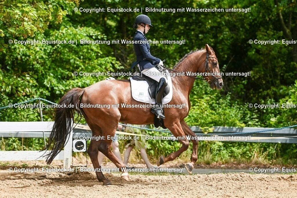 20230716_03_Dressurprfg. Kl.L - Tr._0410 | equistock
