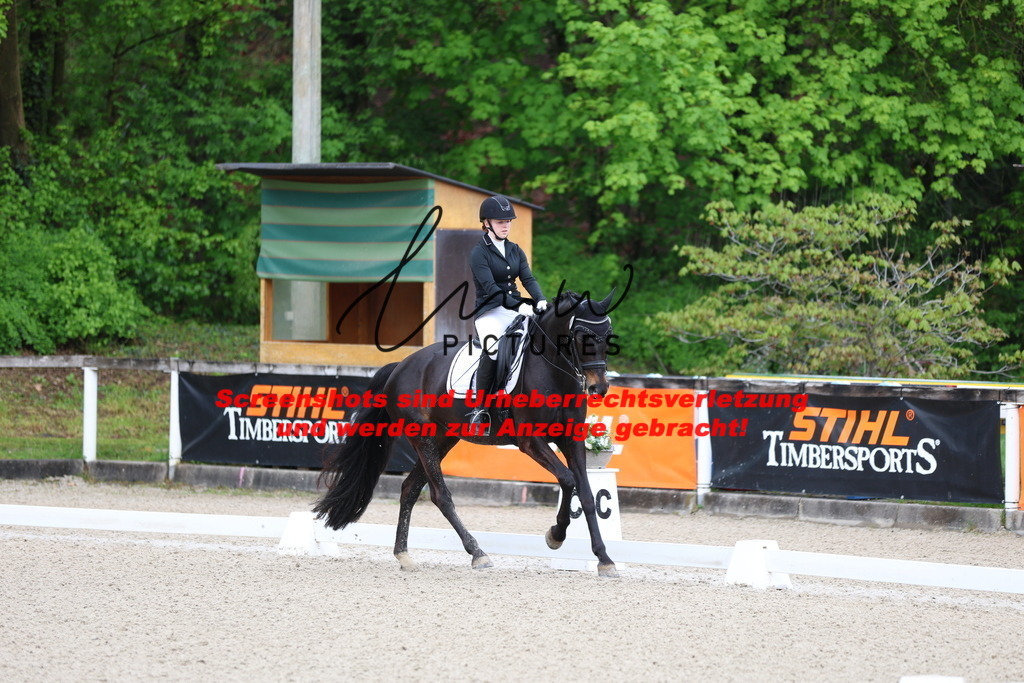 A40A9938 | lmwpictures - Realisiert mit Pictrs.com