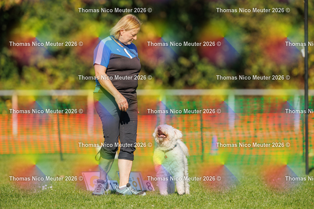 Thomas_Nico_Meuter(C)_04. Oktober 2026_223A2595 | Bild von Thomas Nico Meuter - Realisiert mit Pictrs.com