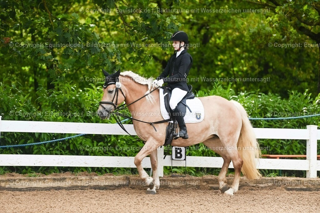 20230716_10-1_Reiter-WB Schritt - Trab - Galopp_0014 | equistock