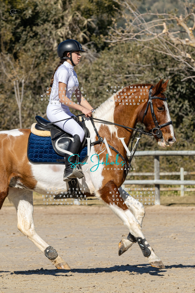 IMG_9065 | s-jay-photography - Realisiert mit Pictrs.com