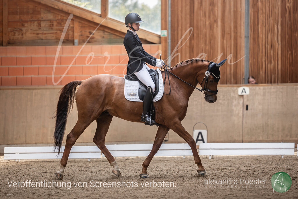 250913_Barop_09_069 | farbklaex.com