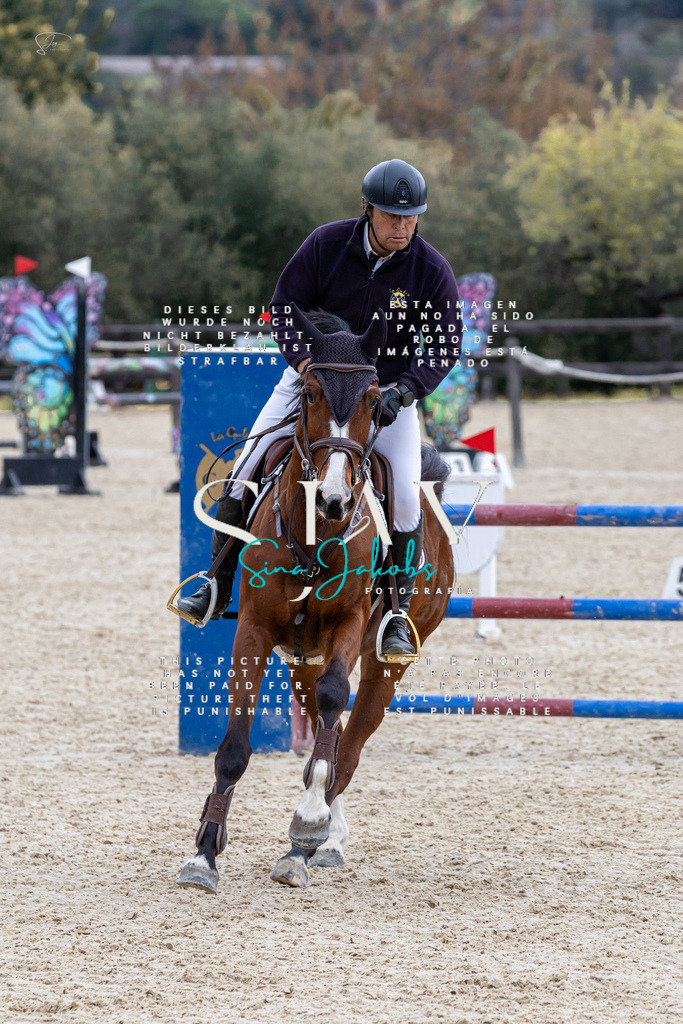 IMG_4164 | s-jay-photography - Realisiert mit Pictrs.com