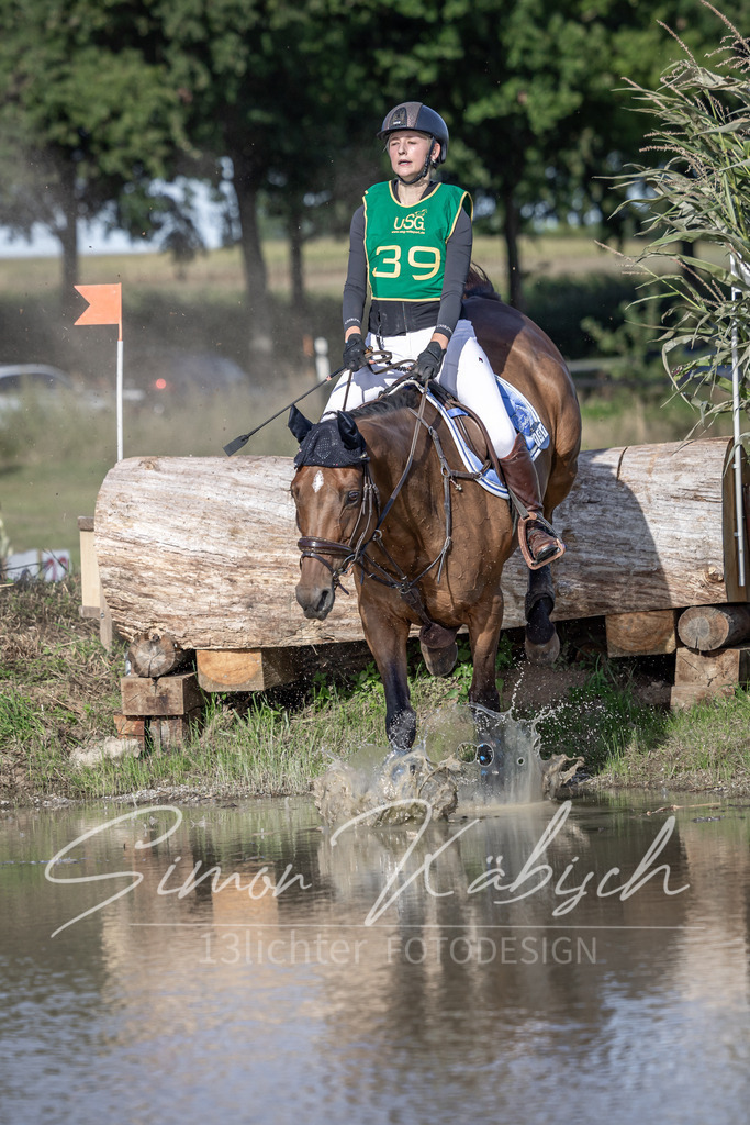 20250907-_3LI4045 | Tierfotografie Pferde, Hunde, Katzen, Haustiere.
Turnierfotografie Reitturniere, Reiten, Springreiten, Dressur in Hanau, dem Main-Kinzig-Kreis und dem Rhein-Main- Gebiet um Frankfurt