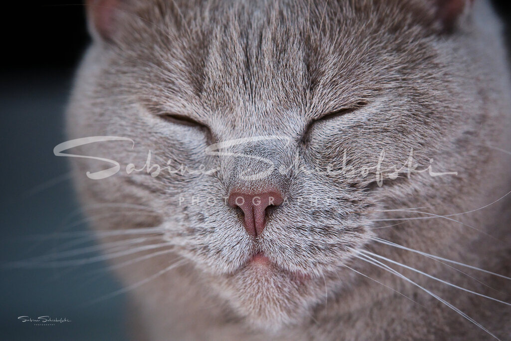 Ella_14-08-24_DSCF9904 | People- und Tierfotografie, Imageaufnahmen, Veranstaltungsfotografie und Wandbilder aus der Natur ★ Made in Germany ✔️ Druck + Downloads ✔️ Naturfotografie in Top Qualität ★ schneller Versand, weltweite Lieferung! - Realisiert mit Pictrs.com