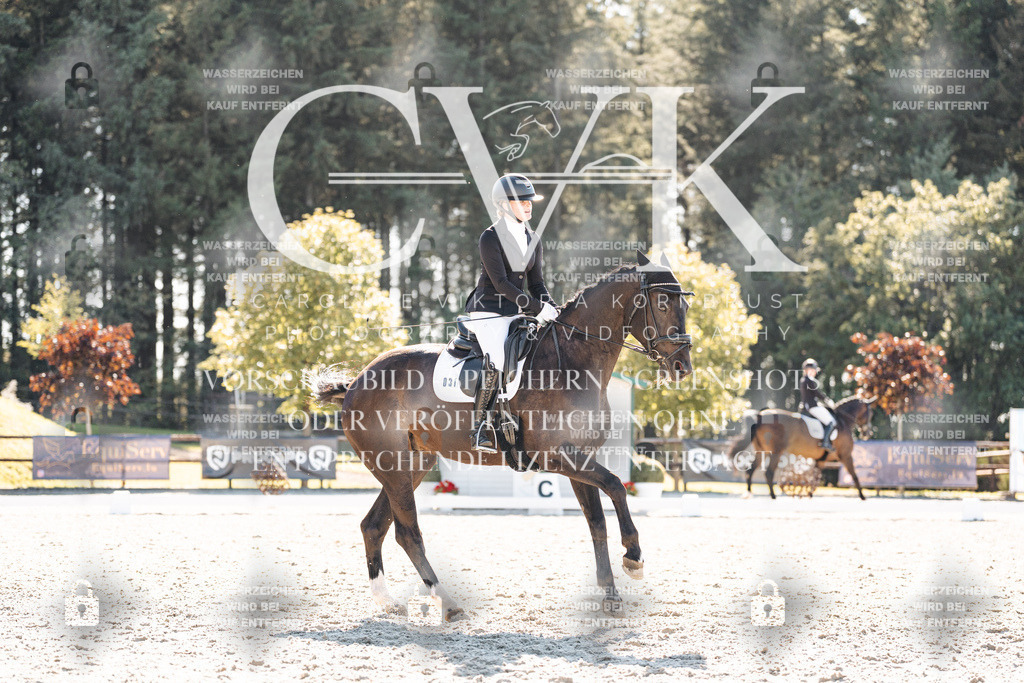 CK905839 | Turnierfotografie Pferdefotografie Trier Rheinland-Pfalz Pferdesport Reitsport Tierfotografie Sportfotografie Pferdevideo Pferdevideografie Equestrianvideography equestrianphotography  - Realisiert mit Pictrs.com