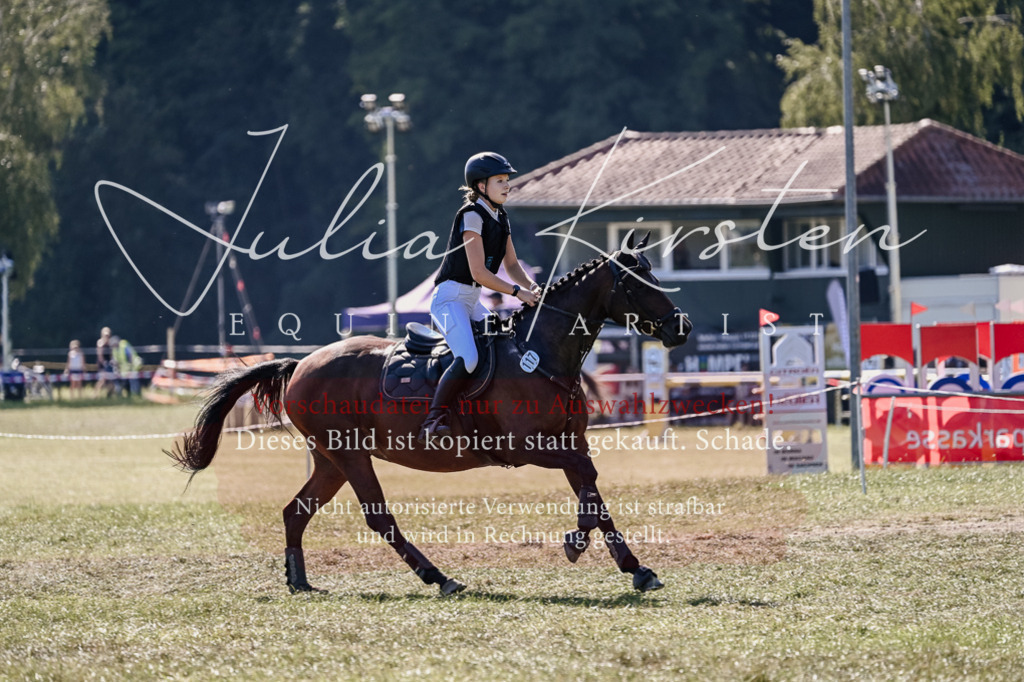 DSC_3272 | Pferde- und Turnierfotografie in Westsachsen. Pferdeportraits, Auftragszeichnungen und intuitive Kunst.