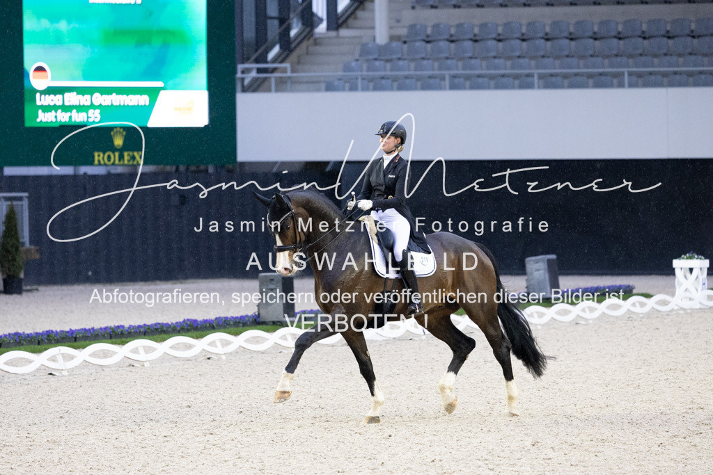 126A3412 | jasminmetznerfotografie