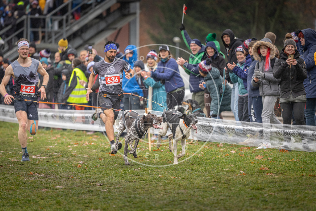 CaniXpix_DV3A9813 | Hundefotografie, Tierfotograf, Pfotenfotografie, Fotoshooting Hund, Hunde Portrait, Hundesport, Hundeportraits, Heideshooting, Hunde, Sportfotograf, Hundefotograf, Turnierhundsport, THS,  - Realisiert mit Pictrs.com