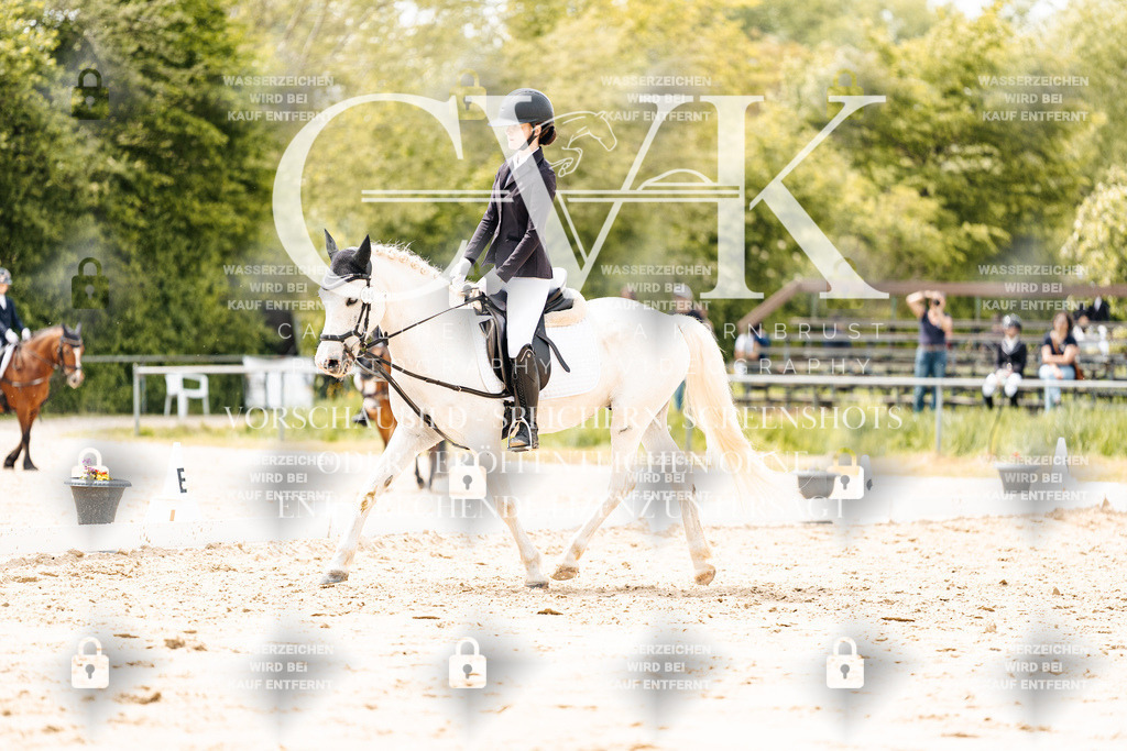 CK902219 | Turnierfotografie Pferdefotografie Trier Rheinland-Pfalz Pferdesport Reitsport Tierfotografie Sportfotografie Pferdevideo Pferdevideografie Equestrianvideography equestrianphotography  - Realisiert mit Pictrs.com