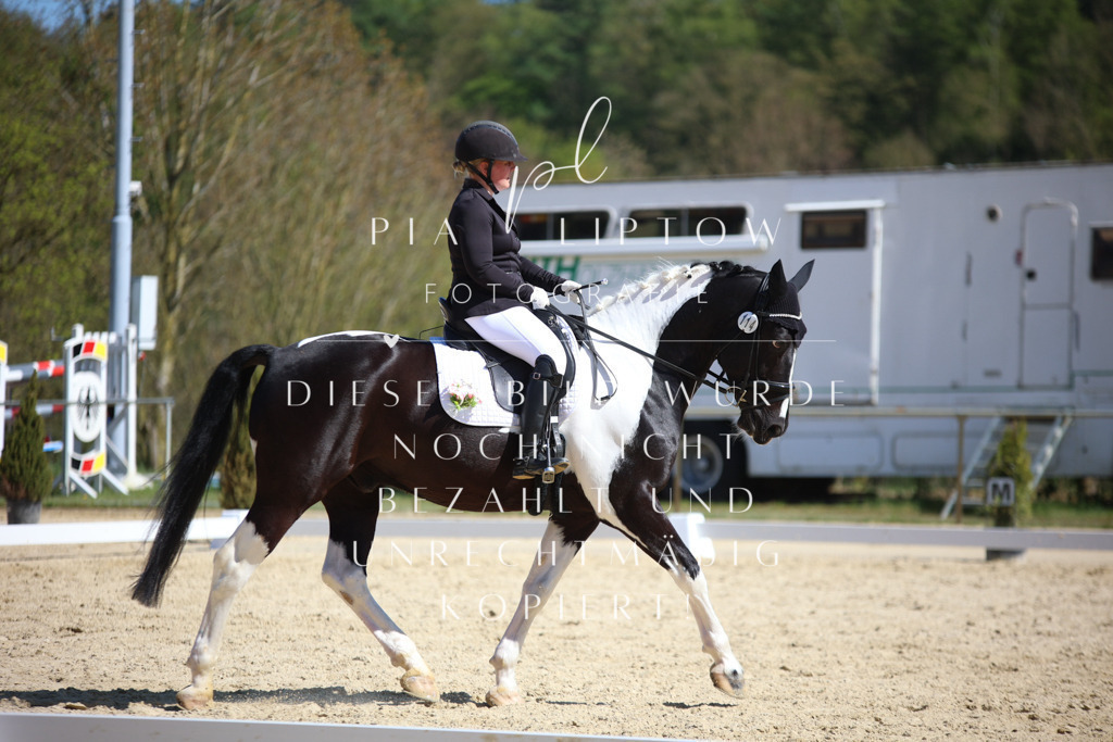 IMGT2132 | pl-fotografie