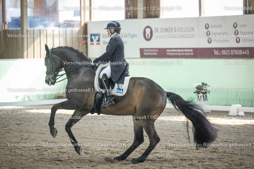 _D5A9501 | Emotionale Pferde- & People-Fotografie rund um Heidelberg, Leimen & Umgebung. Natürliche Fotos von Pferd, Mensch & Familie. Jetzt Termin sichern!