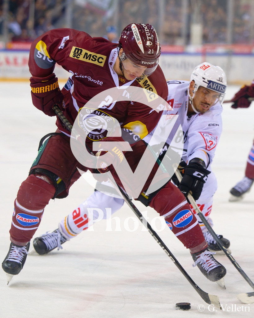 DSC_1938 | Velletri Photo