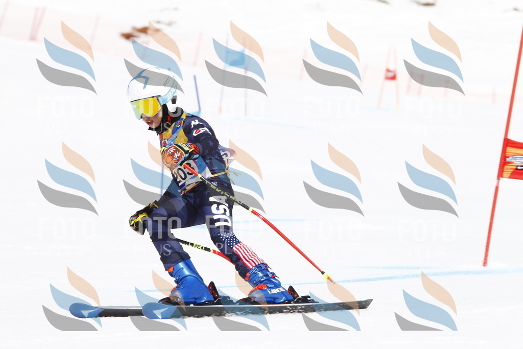 _U3G5283 | holidayphoto