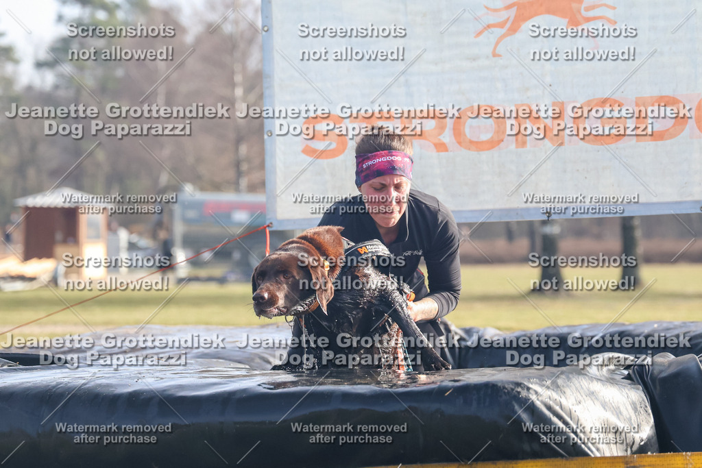 Dog Paparazzi - Strongdog North Mrz26-368 | Dog Paparazzi Jeanette Grottendiek Fotografie & Videografie - Realisiert mit Pictrs.com