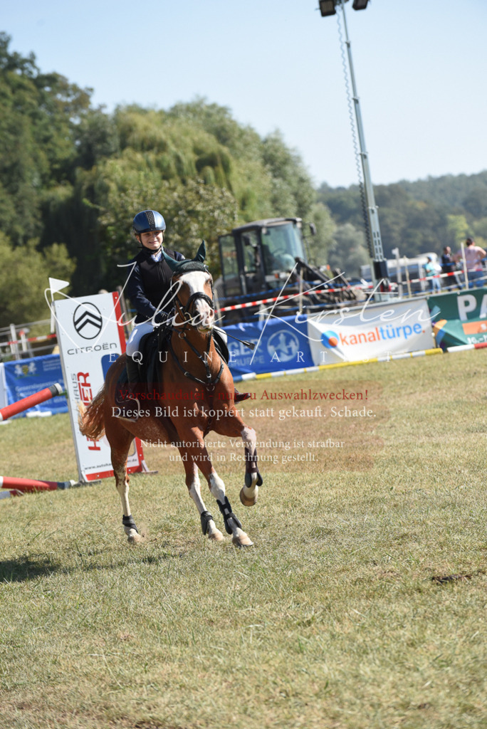 DSC_5996 | Pferde- und Turnierfotografie in Westsachsen. Pferdeportraits, Auftragszeichnungen und intuitive Kunst.