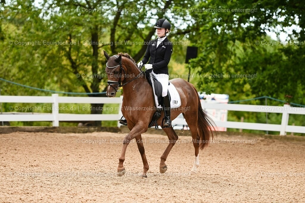 20230715_07_Dressurpferdeprfg. Kl.L_0043 | equistock