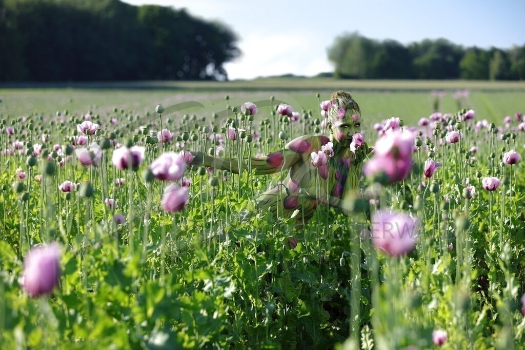 NatureArt-LILAMOHN_0047a2 | Schnuppern am lila Mohn | #001 | Modell: Sarah | Foto: Andreas Meier - Realisiert mit Pictrs.com