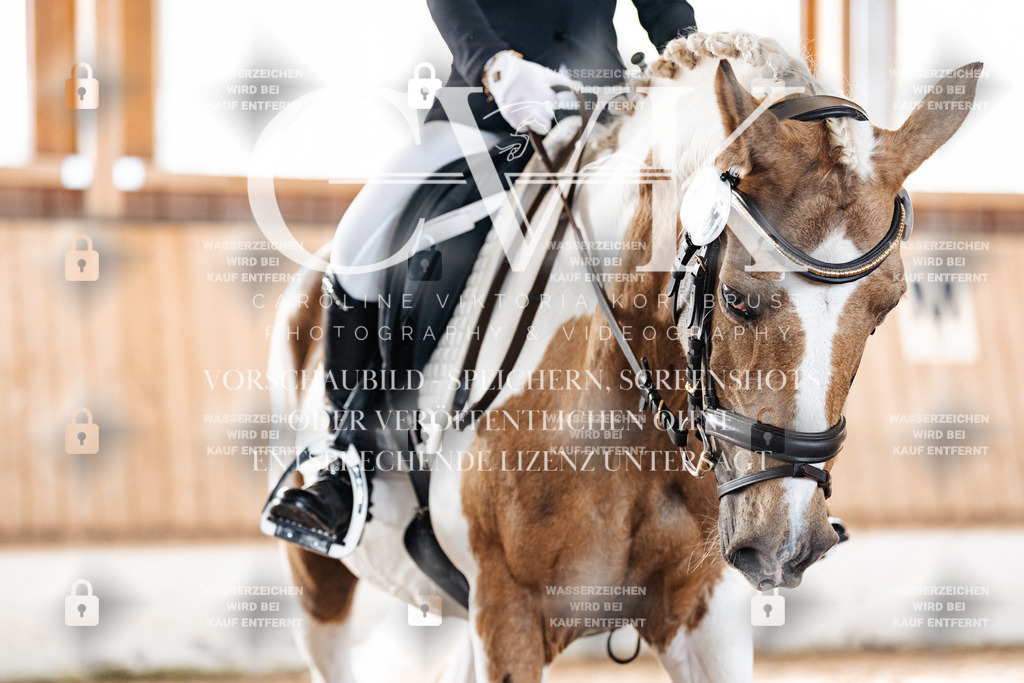 CK909642 | Turnierfotografie Pferdefotografie Trier Rheinland-Pfalz Pferdesport Reitsport Tierfotografie Sportfotografie Pferdevideo Pferdevideografie Equestrianvideography equestrianphotography  - Realisiert mit Pictrs.com