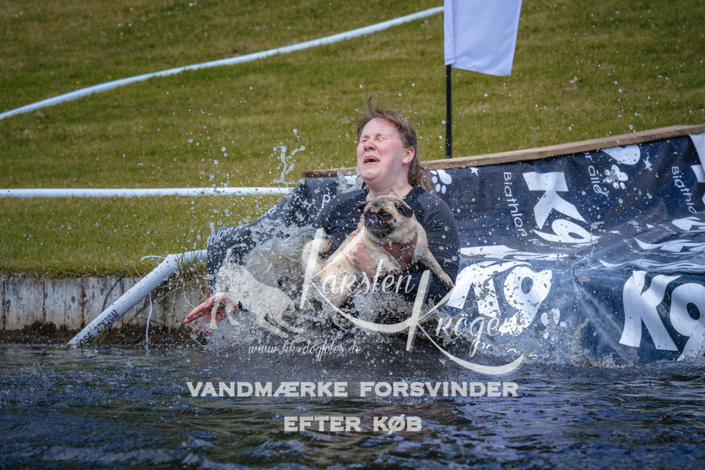 _ZZ963321016 | kk-dogfotos