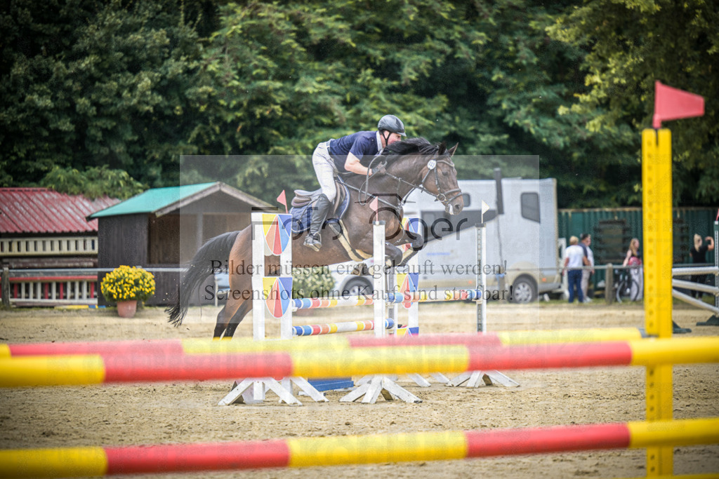 DOS_8310 | Entdecke hochwertige Reitturnierfotos von Foto Oger. Professionell, emotional und authentisch – jetzt Lieblingsmomente im Shop bestellen.Deutschlandweite Turnierfotografie. - Realisiert mit Pictrs.com