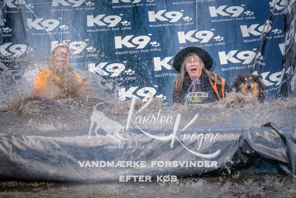 1557_ZZ91552 | kk-dogfotos