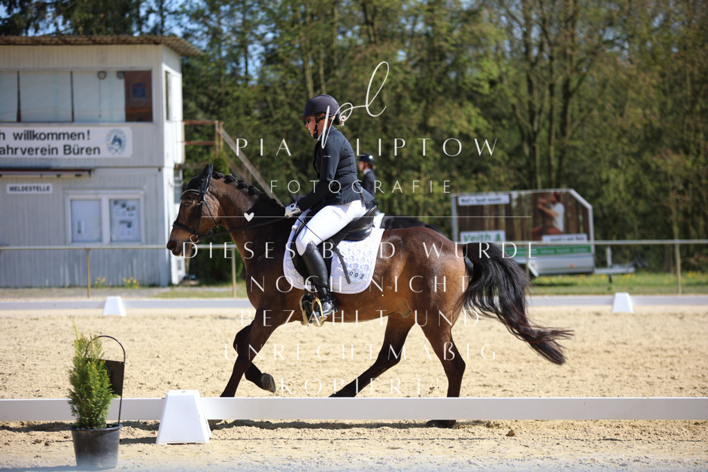 IMGT2260 | pl-fotografie