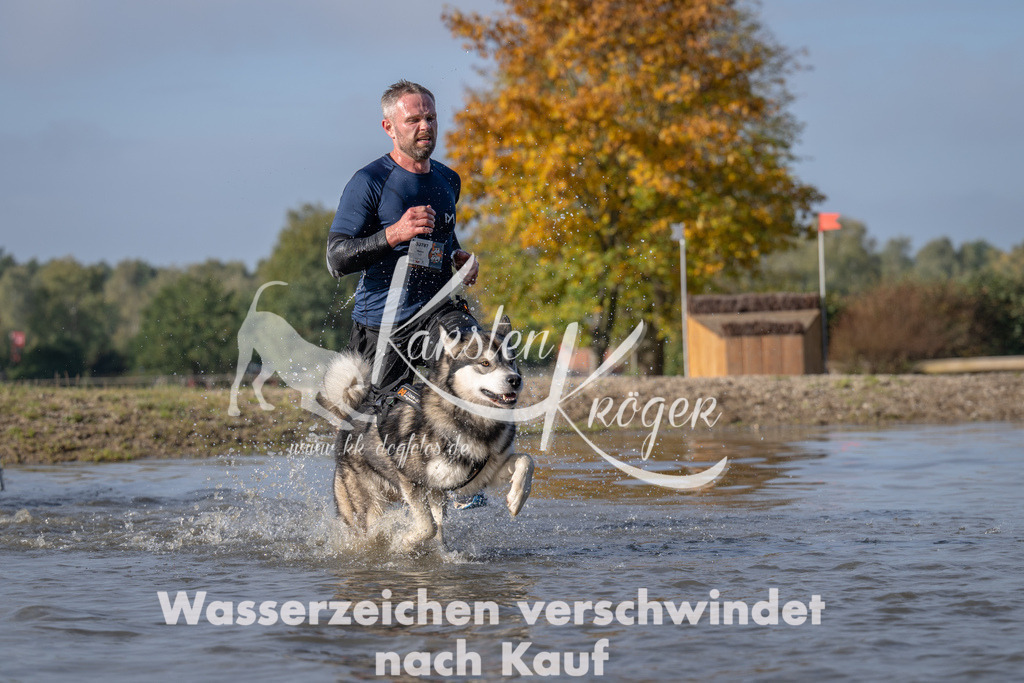 1041_ZZ94649 | kk-dogfotos