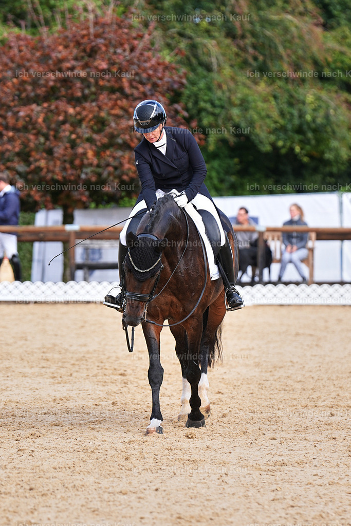 6-176-AMATUER-DRESSUR S_  -Marixx-3684 | working equitationturnier fotograf videograf stoibphotography marixx film working equitation deutschland reitsport turnierfotografie eventfotografie equestrian events