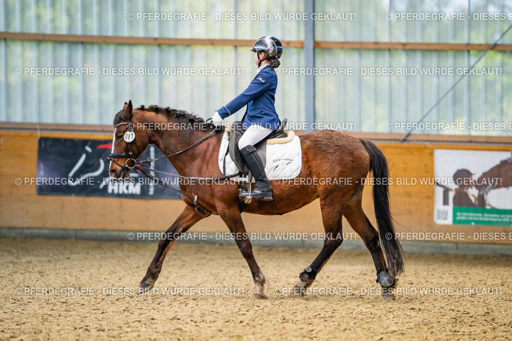 DSC02705 | Pferdegrafie