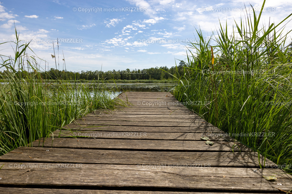 _J3A5408 | medienkrizzler - Realisiert mit Pictrs.com