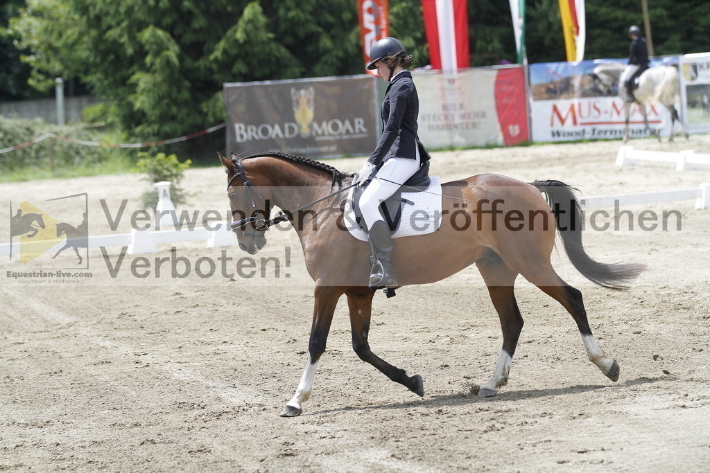 _MG_1457 | equestrian-live-com