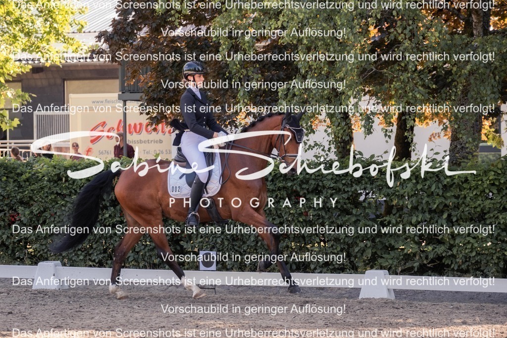 2025_05_31_DSCF3017 | People- und Tierfotografie, Imageaufnahmen, Veranstaltungsfotografie und Wandbilder aus der Natur ★ Made in Germany ✔️ Druck + Downloads ✔️ Naturfotografie in Top Qualität ★ schneller Versand, weltweite Lieferung! - Realisiert mit Pictrs.com