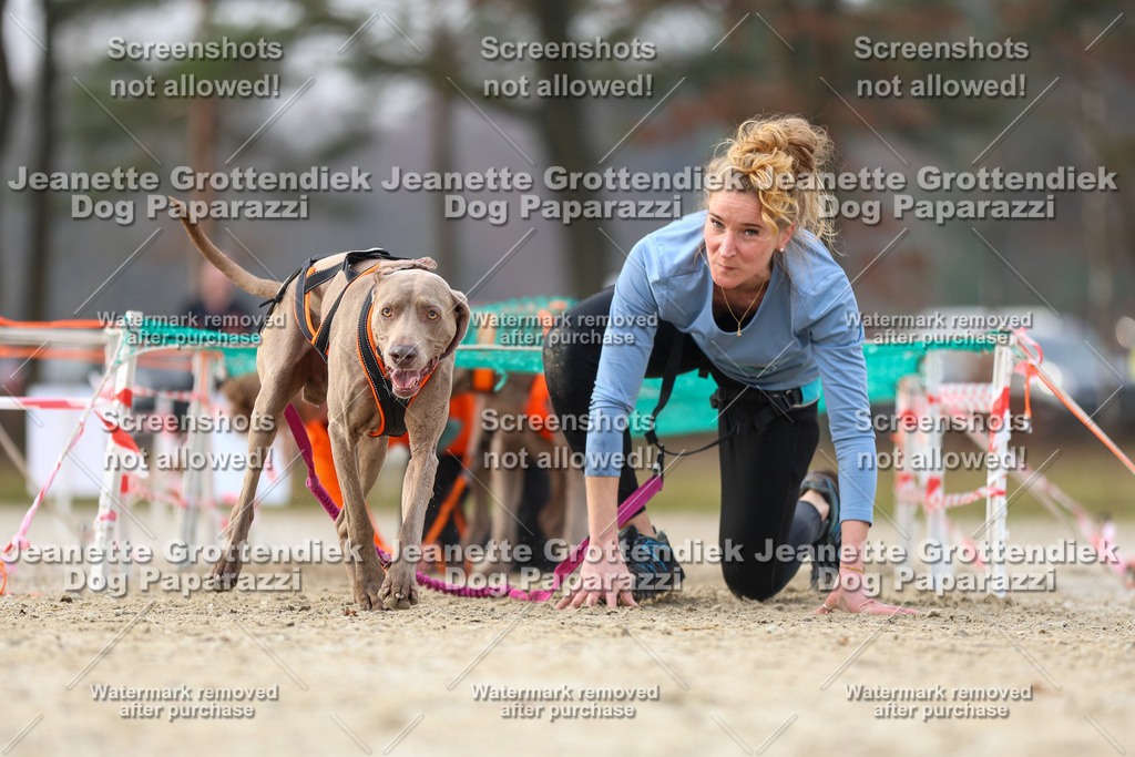 Dog Paparazzi - Strongdog North Mrz26-4239 | Dog Paparazzi Jeanette Grottendiek Fotografie & Videografie - Realisiert mit Pictrs.com