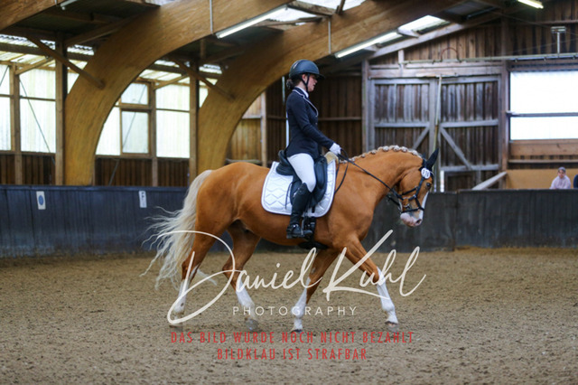IMG_0232 | Turniersportfotografie; Pferdefotografie; Dressurfotografie