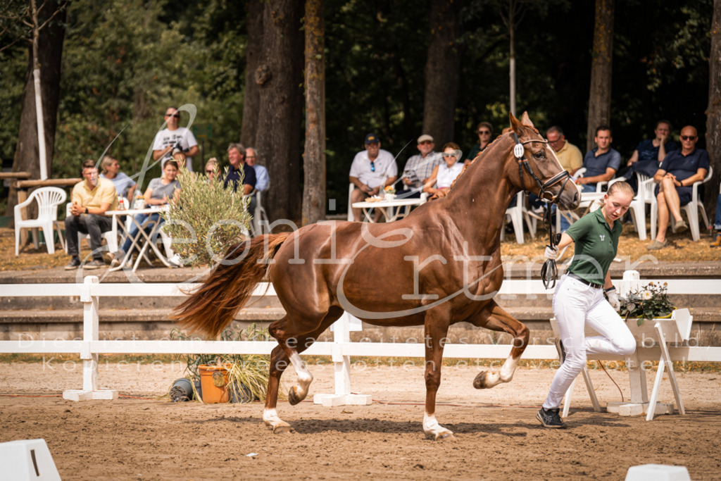 3.Fr00084 | Leoni Ertmer Photography - Realisiert mit Pictrs.com