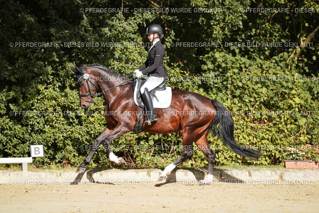 DSC08052 | Pferdegrafie