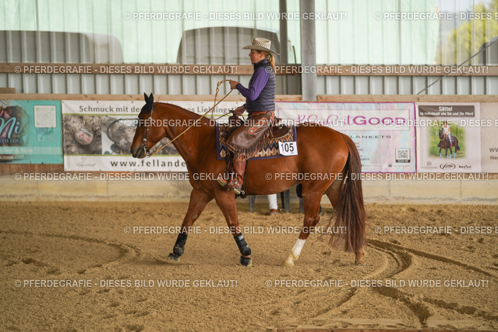 DSC01250 | Pferdegrafie