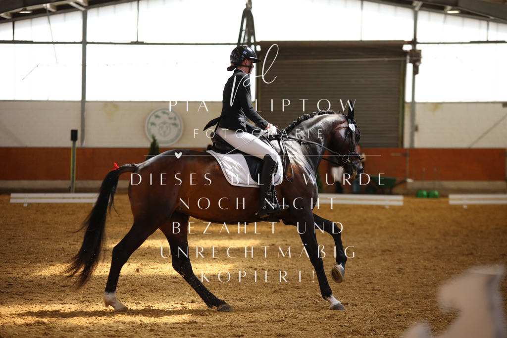 IMGT4365 | pl-fotografie