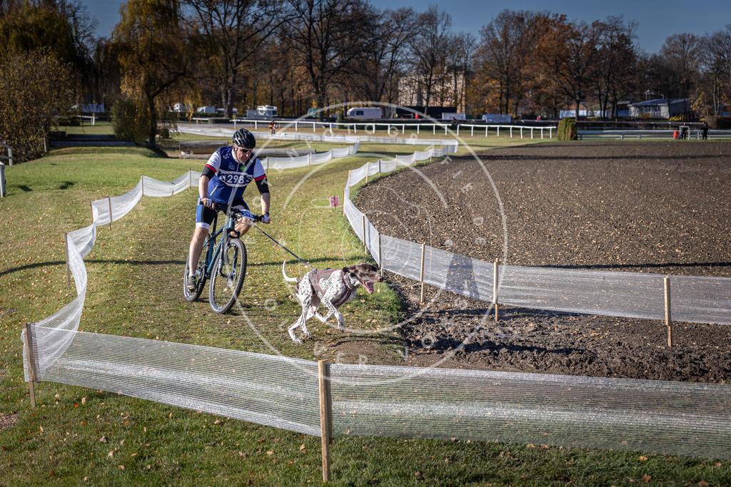 CaniXpix_DV3A6015 | Hundefotografie, Tierfotograf, Pfotenfotografie, Fotoshooting Hund, Hunde Portrait, Hundesport, Hundeportraits, Heideshooting, Hunde, Sportfotograf, Hundefotograf, Turnierhundsport, THS,  - Realisiert mit Pictrs.com