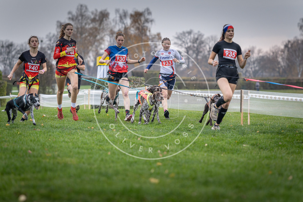 CaniXpix_DV3A7109 | Hundefotografie, Tierfotograf, Pfotenfotografie, Fotoshooting Hund, Hunde Portrait, Hundesport, Hundeportraits, Heideshooting, Hunde, Sportfotograf, Hundefotograf, Turnierhundsport, THS,  - Realisiert mit Pictrs.com