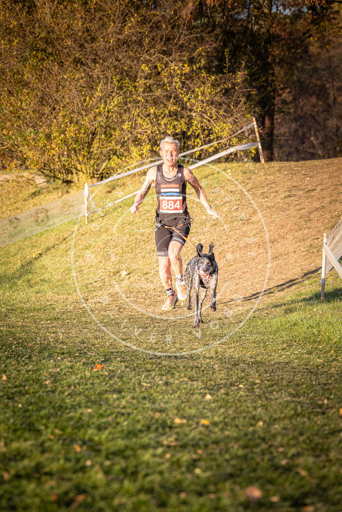 CaniXpix_0L8A1199 | Hundefotografie, Tierfotograf, Pfotenfotografie, Fotoshooting Hund, Hunde Portrait, Hundesport, Hundeportraits, Heideshooting, Hunde, Sportfotograf, Hundefotograf, Turnierhundsport, THS,  - Realisiert mit Pictrs.com