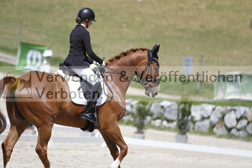 _MG_4615 | equestrian-live-com