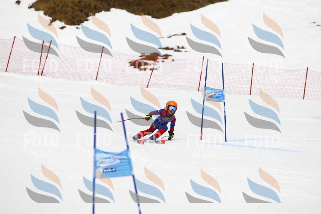 _U3G7327 | holidayphoto