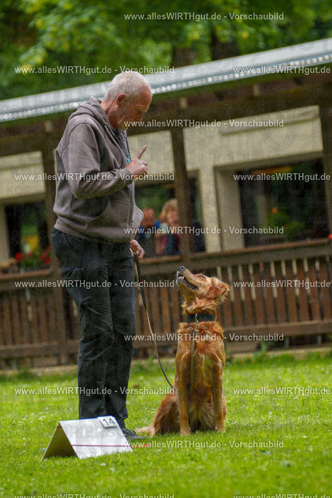 @allesWIRTHgut_Tierfotografie - www.allesWIRTHgut.de - 125814-7R509610 | Professionelle Tierfotografie in Mönchengladbach von Daniel Wirth (allesWIRTHgut). Liebevolle & natürliche Bilder von Hunden & Katzen für unvergessliche Erinnerungen.