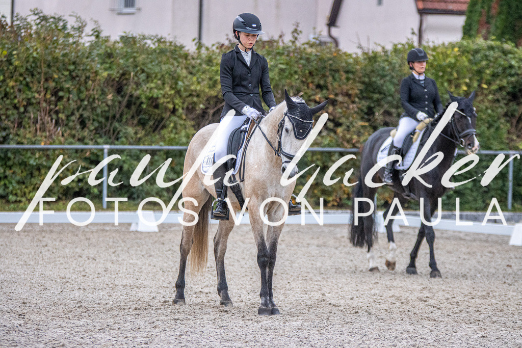 IMG_2391 | Erleben Sie dynamische Sport- und emotionale Tierfotografie in Süddeutschland mit Fotos von Paula. Spezialisiert auf Pferde- und Hundefotografie sowie Sportevents. Kontaktieren Sie mich für einzigartige und ausdrucksstarke Bilder Ihrer besonderen Momente.