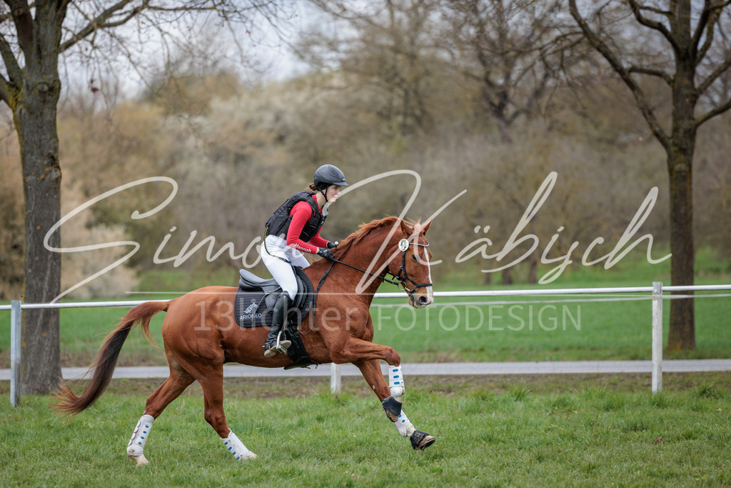 20260329-_3LI5744 | Tierfotografie Pferde, Hunde, Katzen, Haustiere.
Turnierfotografie Reitturniere, Reiten, Springreiten, Dressur in Hanau, dem Main-Kinzig-Kreis und dem Rhein-Main- Gebiet um Frankfurt