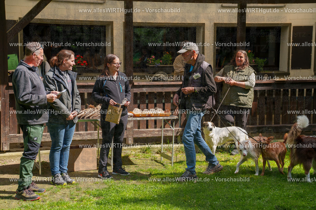 @allesWIRTHgut_Tierfotografie - www.allesWIRTHgut.de - 7R506081 | Professionelle Tierfotografie in Mönchengladbach von Daniel Wirth (allesWIRTHgut). Liebevolle & natürliche Bilder von Hunden & Katzen für unvergessliche Erinnerungen.